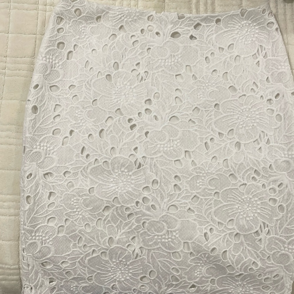 Banana Republic Skirt